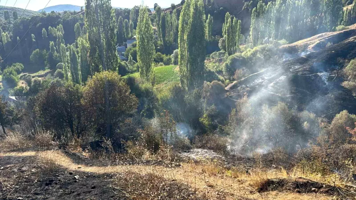 Malatya'da Bahçede Çıkan Yangın İtfaiye Ekiplerince Söndürüldü