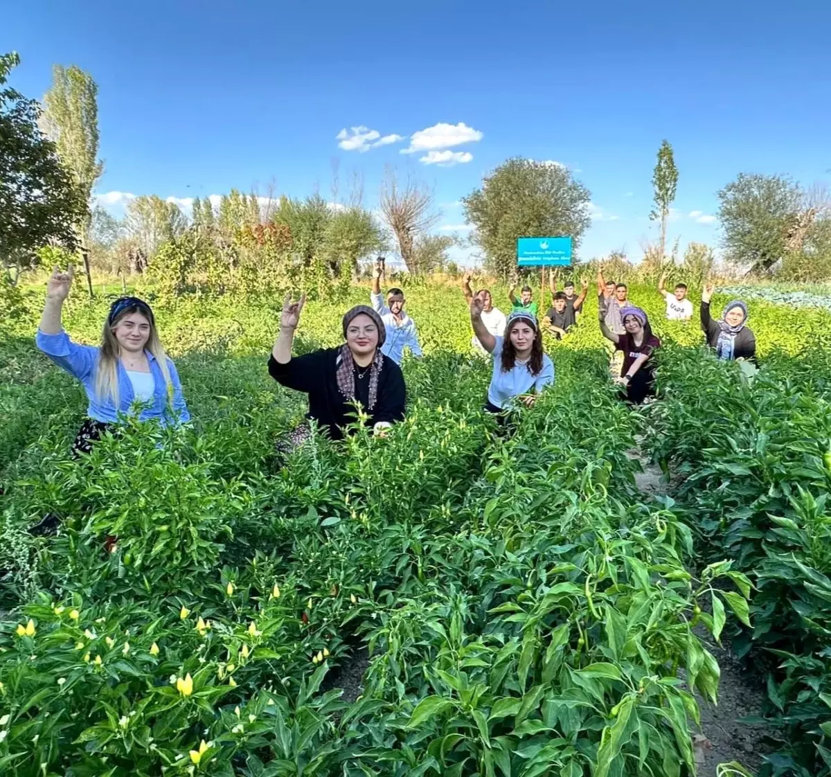 Afyonkarahisar'da Yerli Permakültür Projesi ile İlk Hasat Yapıldı