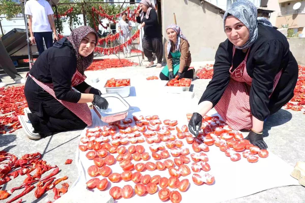 Hatay'da Afetzede Kadınlar Domates Kuru İle Ekonomiye Katkı Sağlıyor