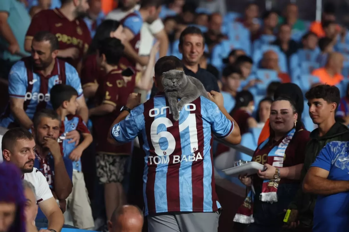 Trabzonspor Taraftarının Kedisi Tom, Stadyuma Alındı
