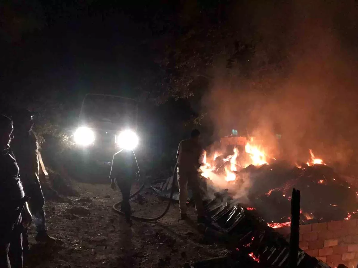 Balıkesir'de Hayvanları Tehdit Eden Yangın Kontrol Altına Alındı