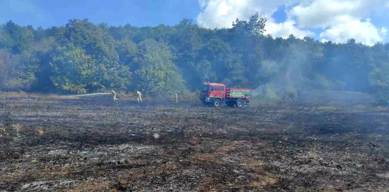 Kırklareli'nde Çıkan Örtü Yangını Kontrol Altına Alındı