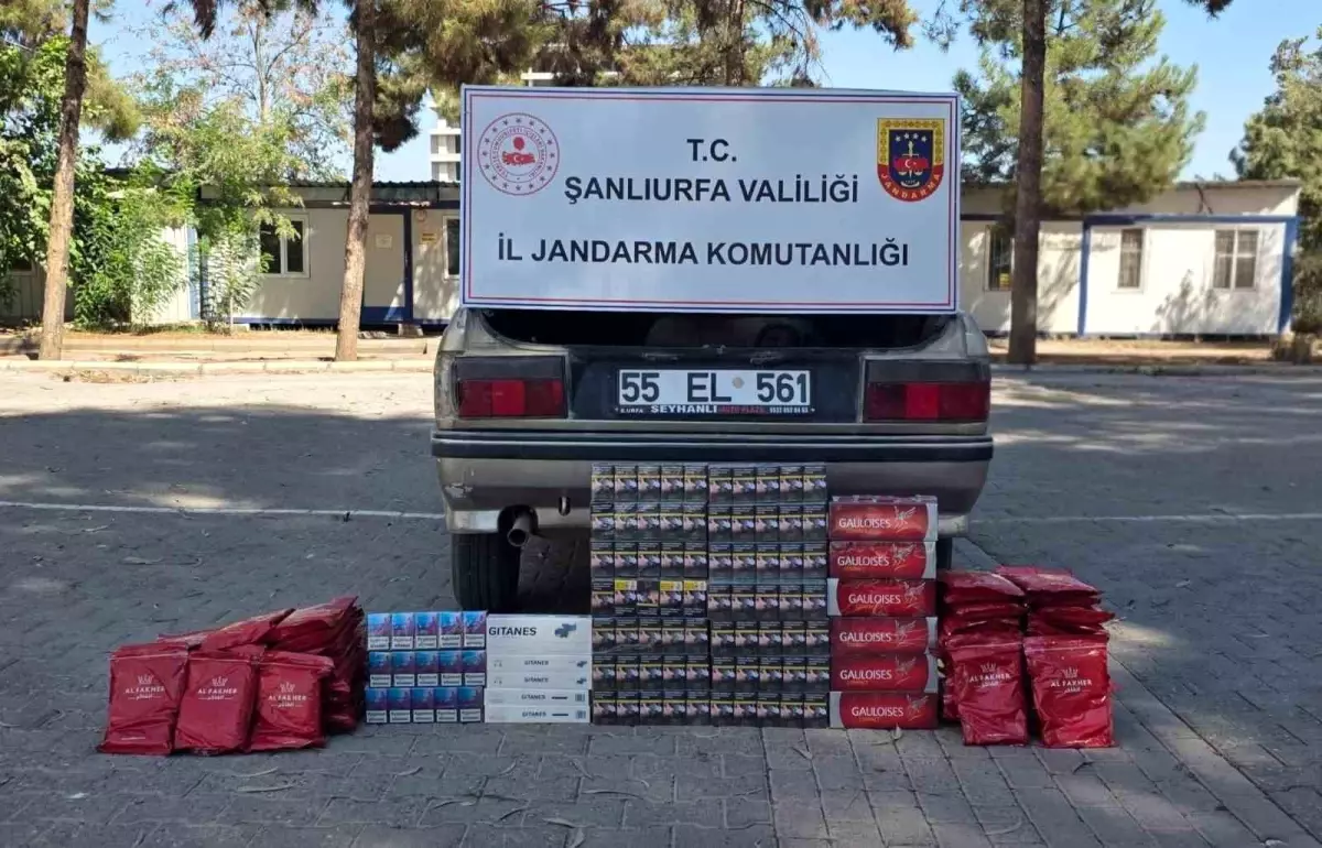 Şanlıurfa'da Jandarma Kaçak Tütün Operasyonu
