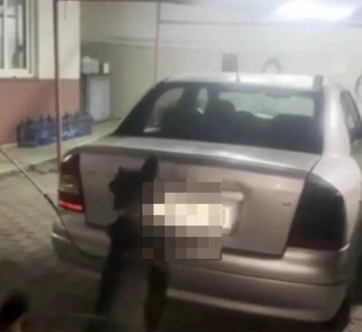 Adana'da LPG Tankında 4 Kilo Skunk Ele Geçirildi, 6 Şüpheli Tutuklandı