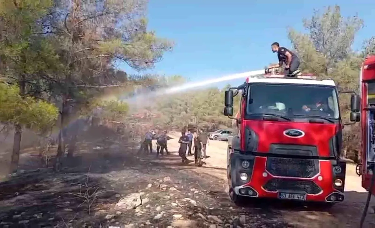 Şanlıurfa'da Orman Yangını Kontrol Altına Alındı