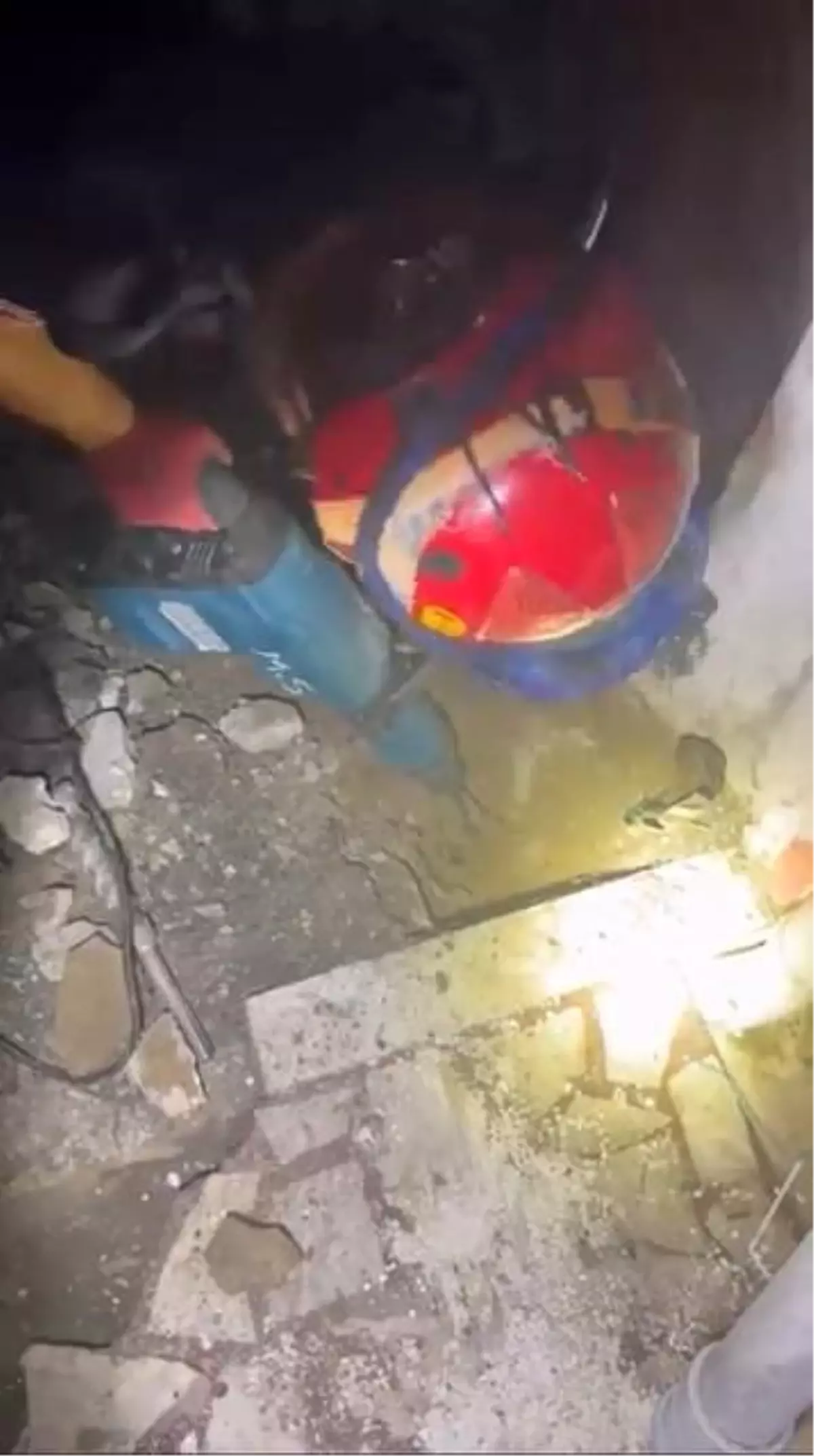 Bursa'da Yavru Kedi Kurtarıldı