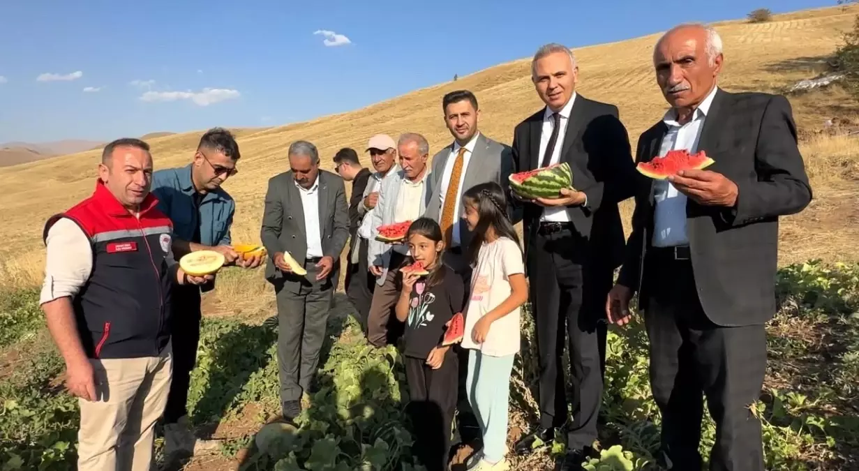 Yüksekova'da Mısır, Karpuz ve Kavun Hasadı Başladı