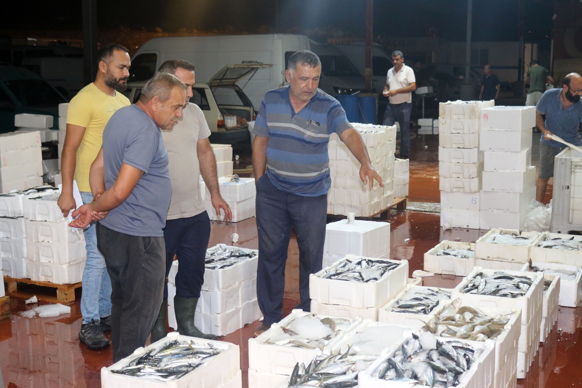 Akdeniz'de Balık Avı Sezonu Başladı