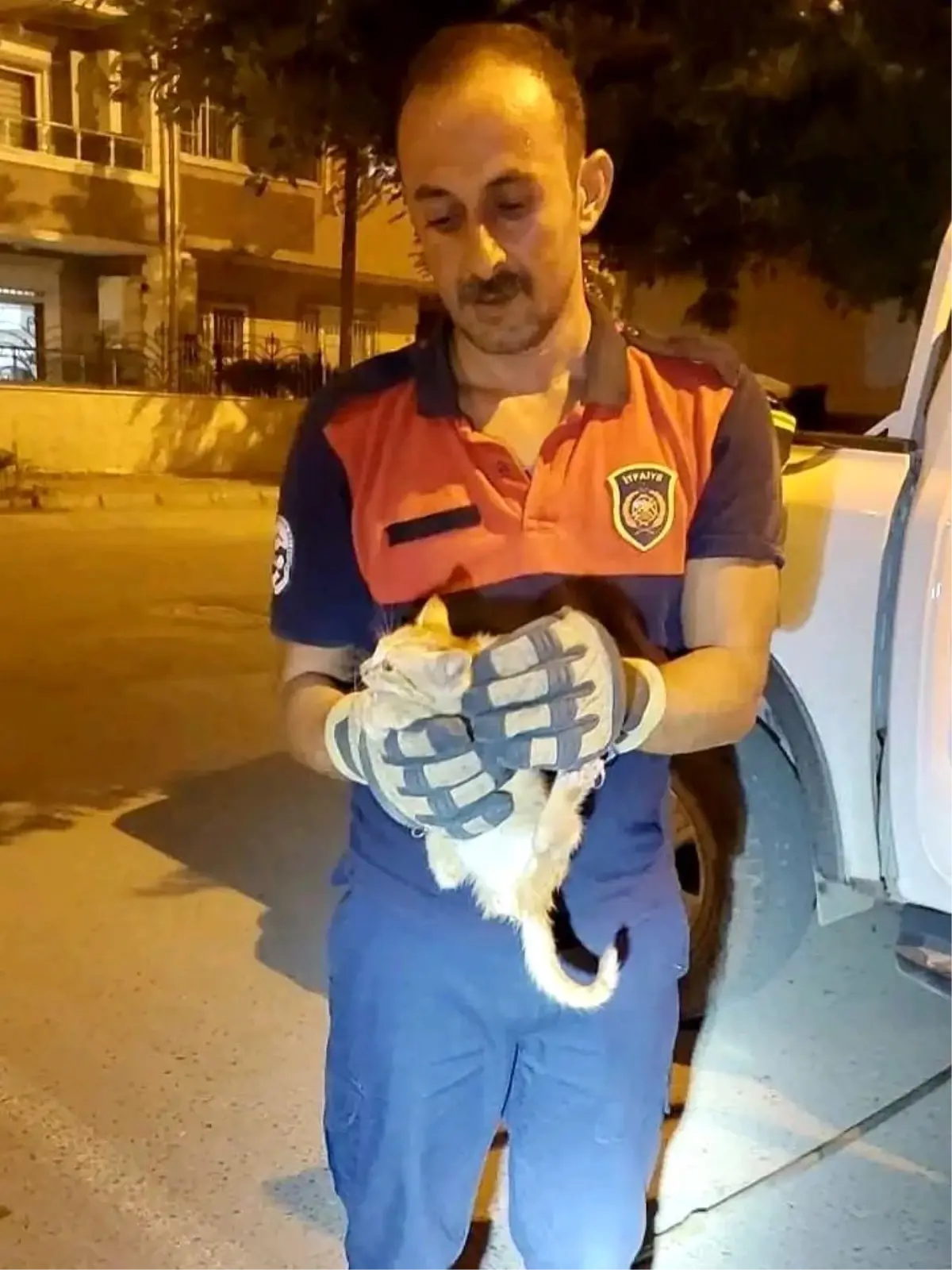 İskenderun'da Aracın Motoruna Sıkışan Yavru Kedi Kurtarıldı