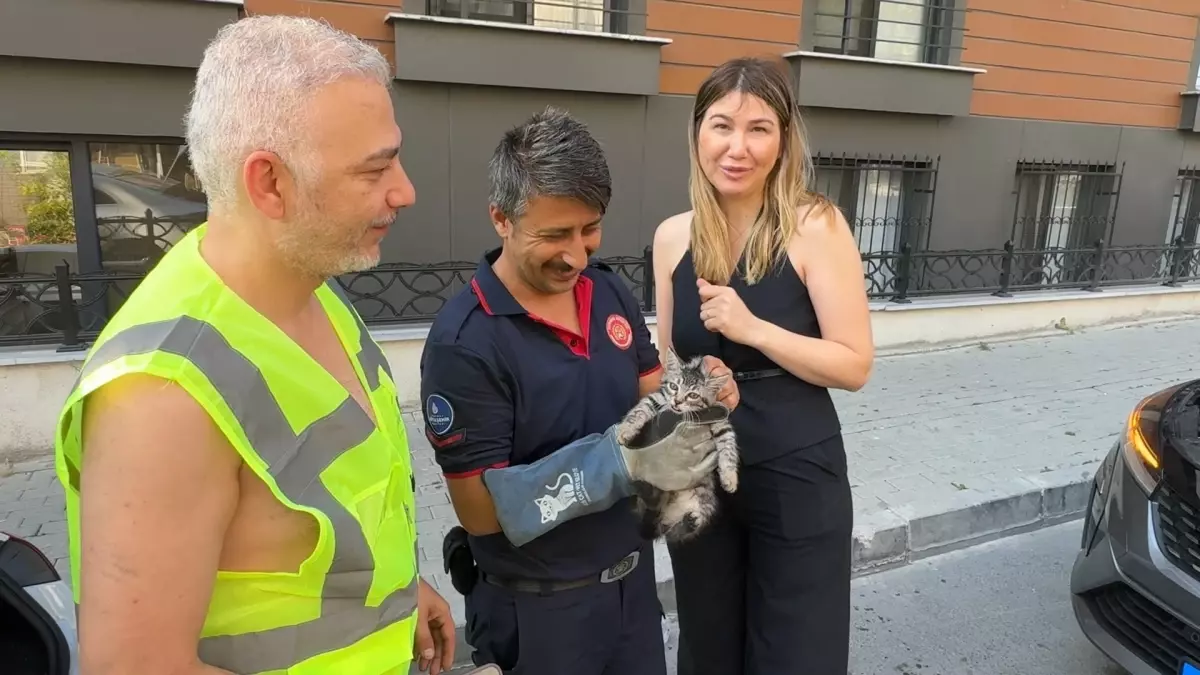Avcılar'da İtfaiye Ekipleri Mahsur Kalan Kumru ve Yavru Kediyi Kurtardı