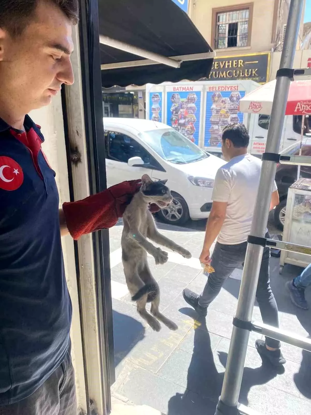 Batman'da Sıkışan Kedi İtfaiye Ekiplerince Kurtarıldı
