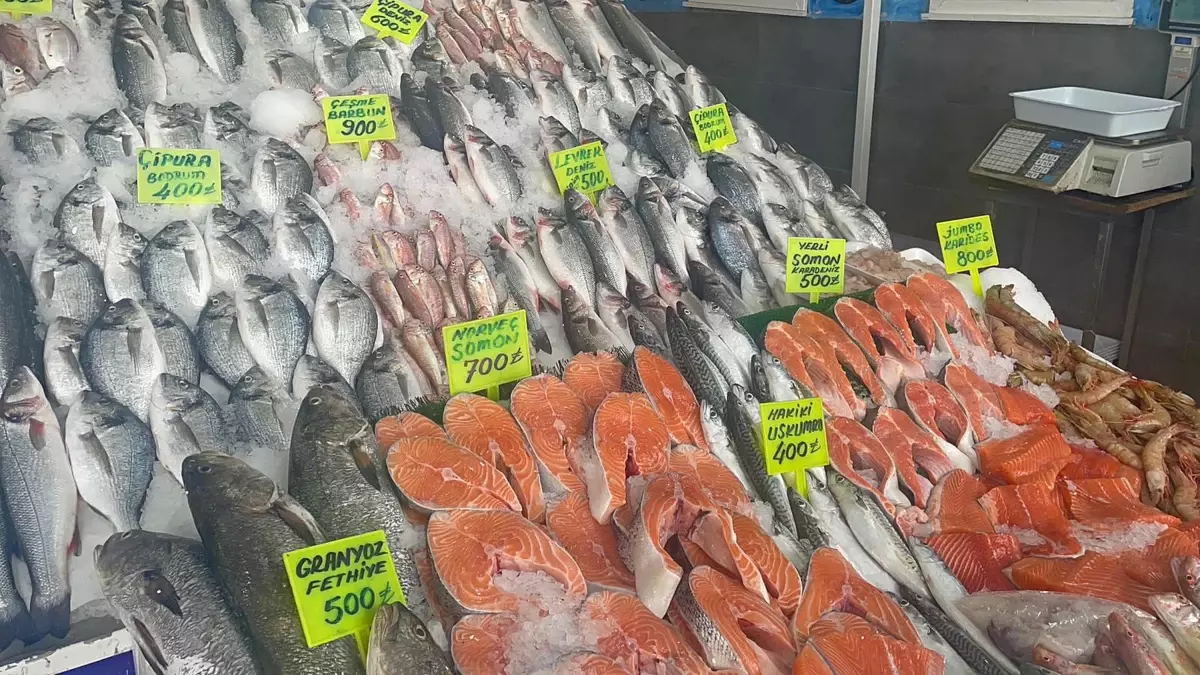 Ege Denizi'nde Balık Avı Bereketli Geçiyor