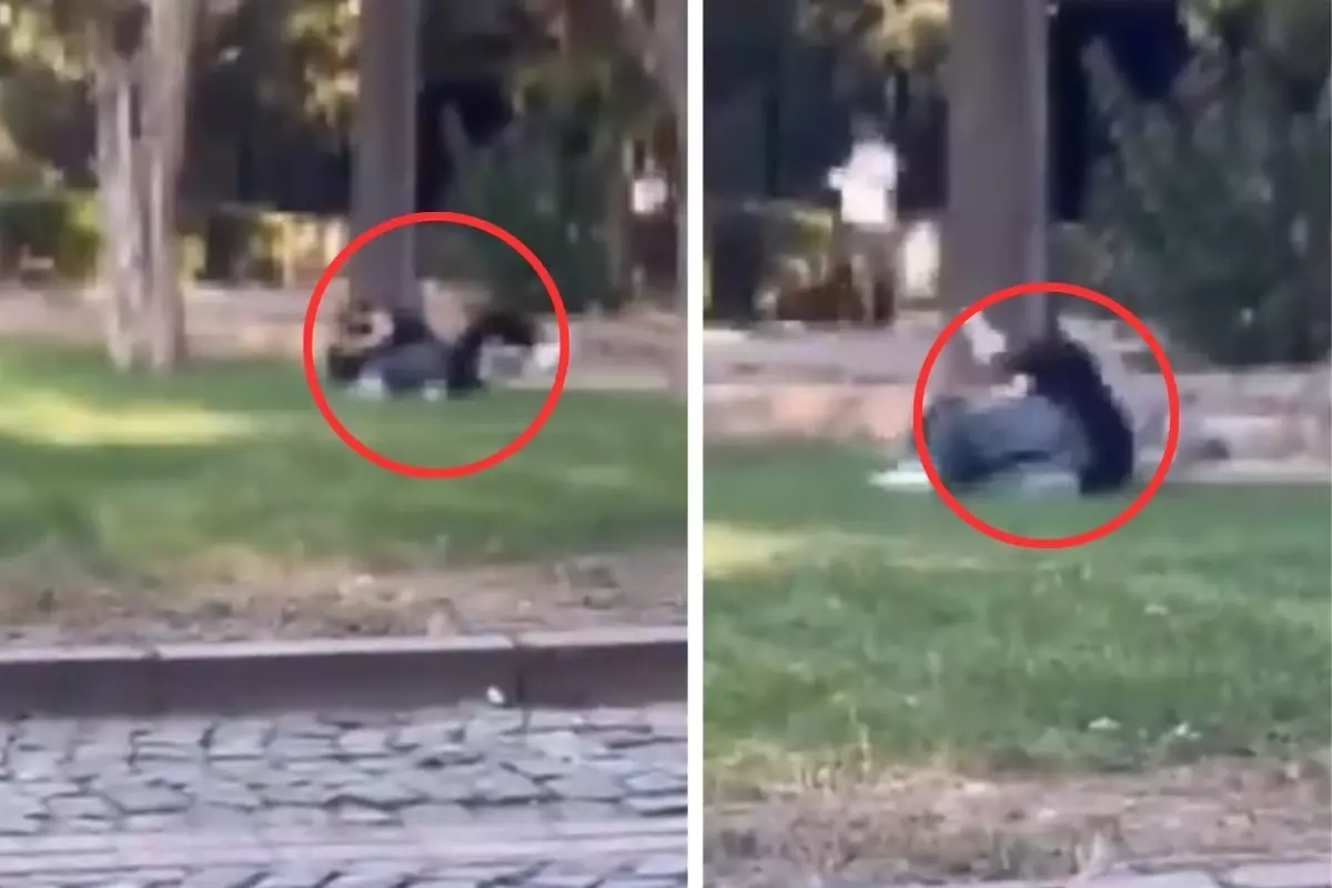 Gencecik kızlar saç başa kavga etti, çevredekiler film izler gibi seyretti