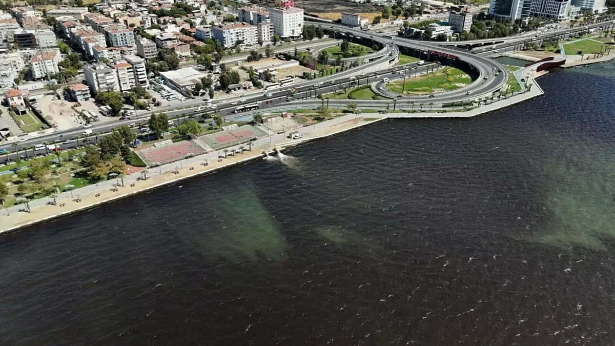 İzmir Körfezi'ndeki Kirlilik Artış Gösteriyor