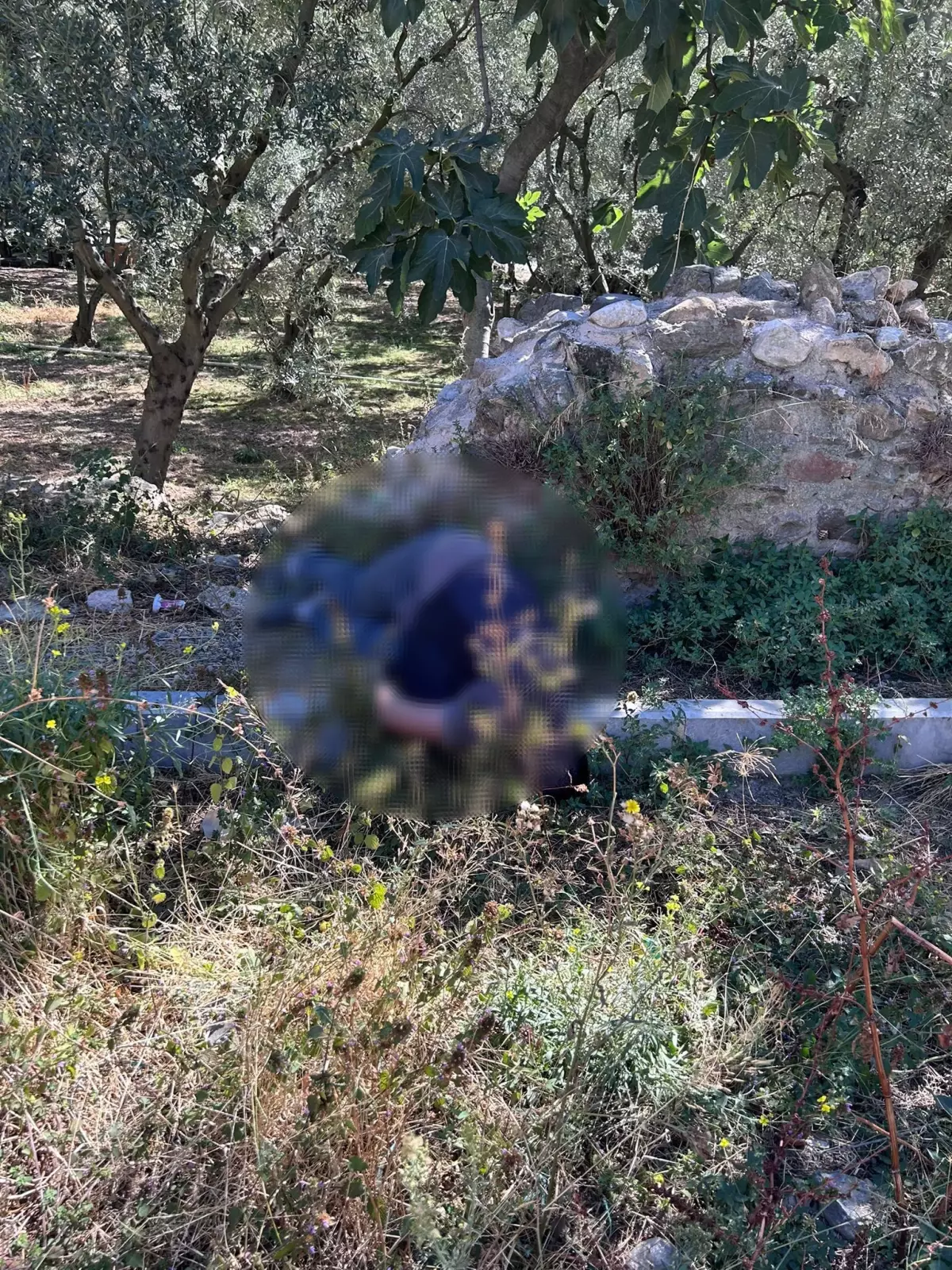 İznik'te Bulunan Cesedin Kimliği Belirlendi