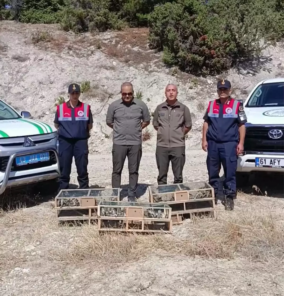 142 Saka Kuşu Yeniden Doğaya Salındı