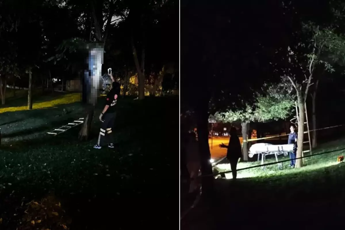 İstanbul'un göbeğinde korkunç olay! Ağaca asılı bulundu