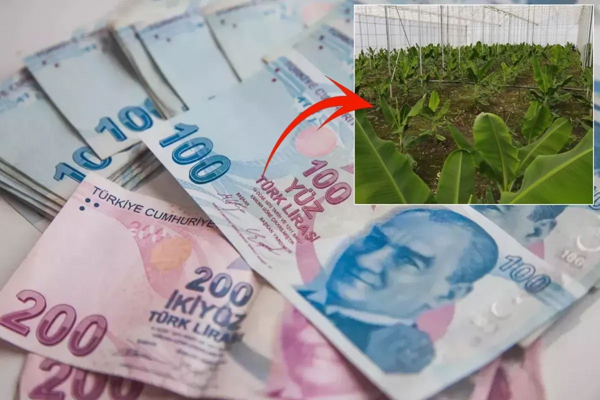 2019'da çektiği kredi ile hayatı değişti: Aylık 640 bin TL kazanıyorum