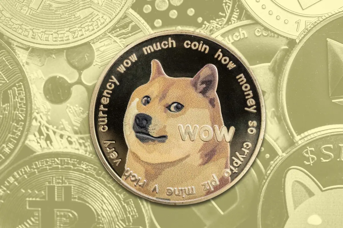 Elon Musk bağlantılı şirket DOGE biriktirmeyi sürdürüyor