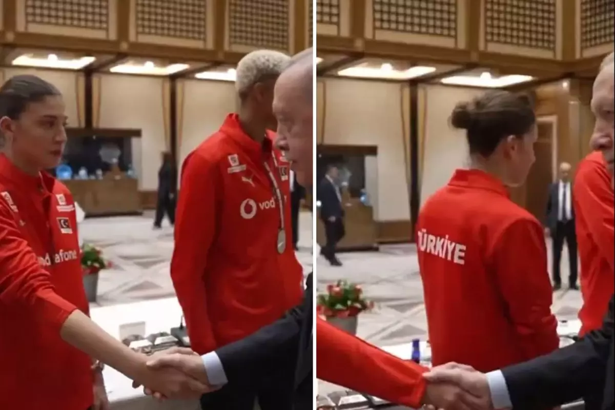 İlkin Aydın'ın Cumhurbaşkanı Erdoğan'ı ziyaretindeki tavırları izleyenleri ikiye böldü