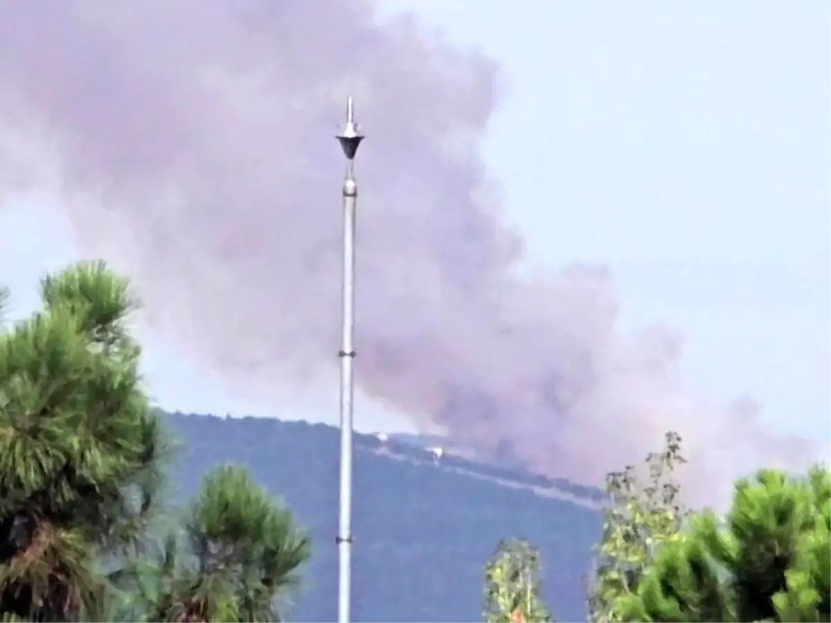 Kocaeli'nin İzmit ilçesinde orman yangını