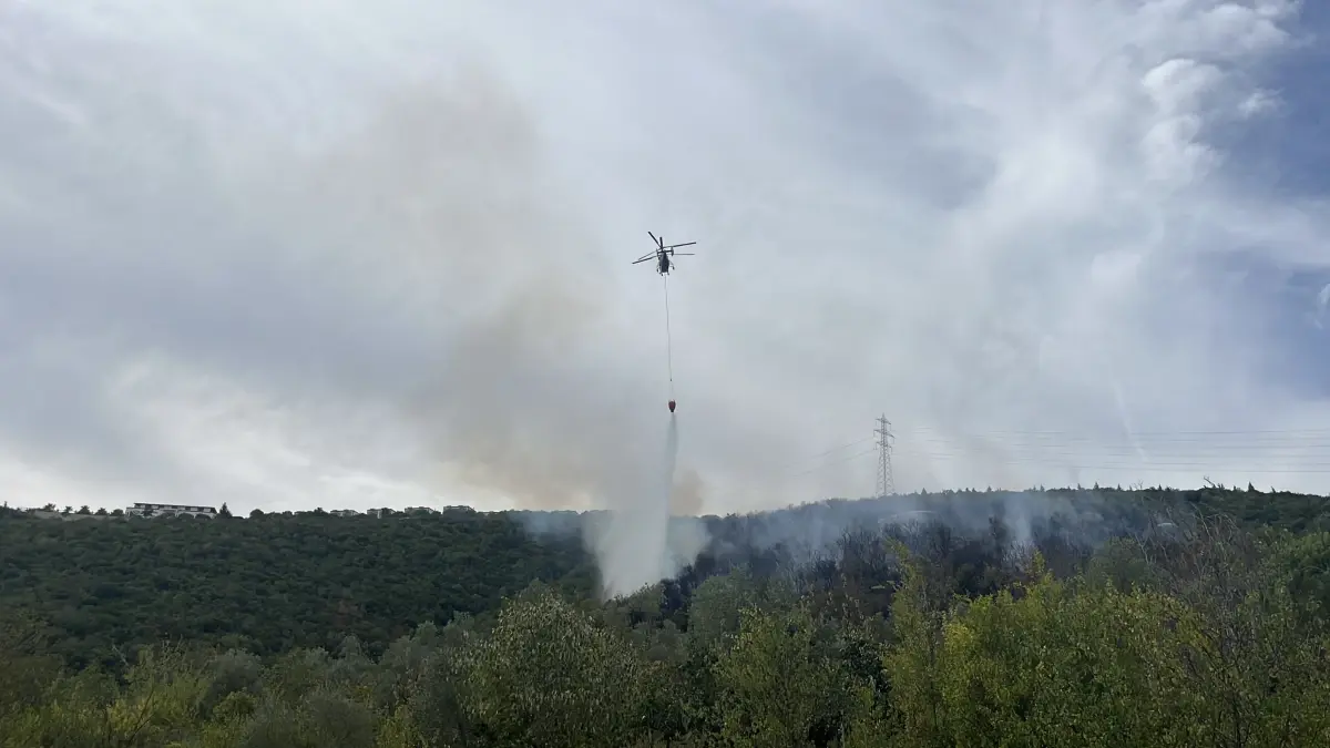 Kocaeli'de Orman Yangını Kontrol Altına Alındı