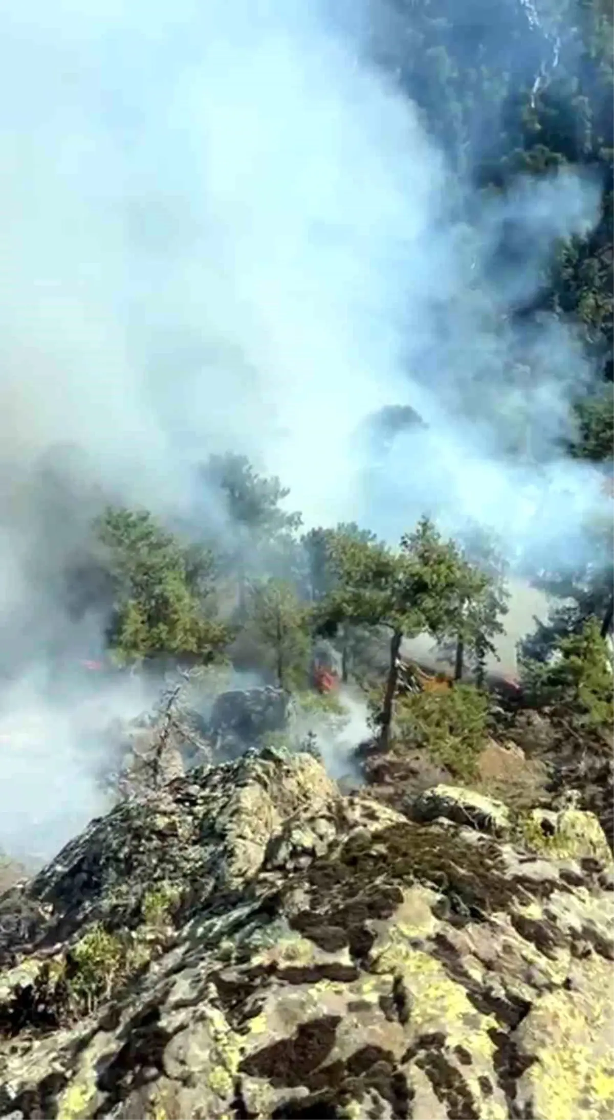 Muğla'da Orman Yangınına Havadan Müdahale Devam Ediyor