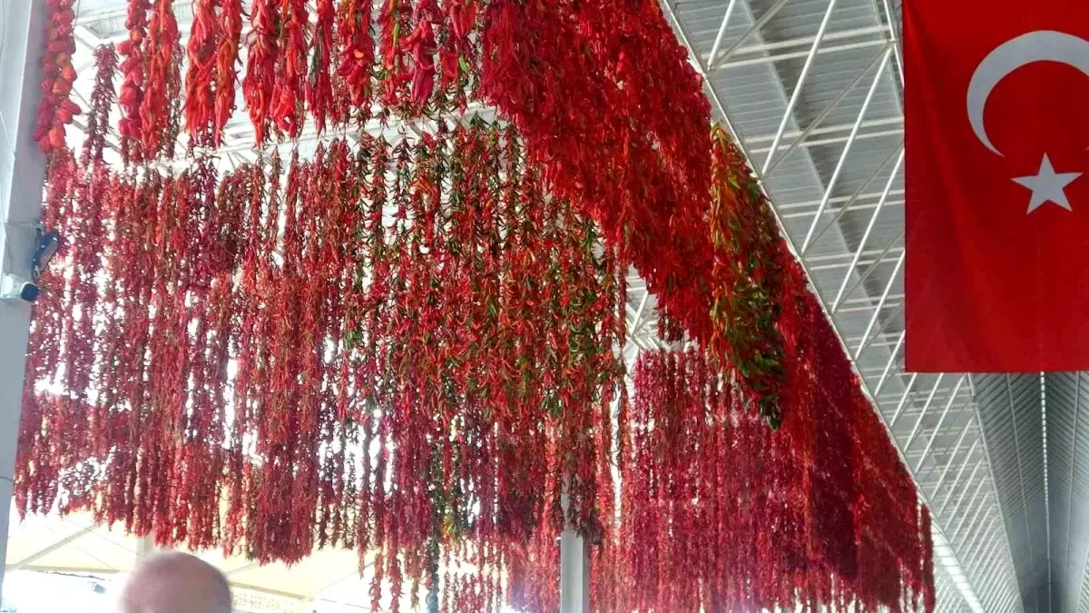 Menteşe'de Geleneksel Yöntemle Kurutulan Sebzeler Yurt Dışında Talep Görüyor