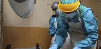 Nijerya'da Lassa Ateşi sebebiyle ölümler artıyor