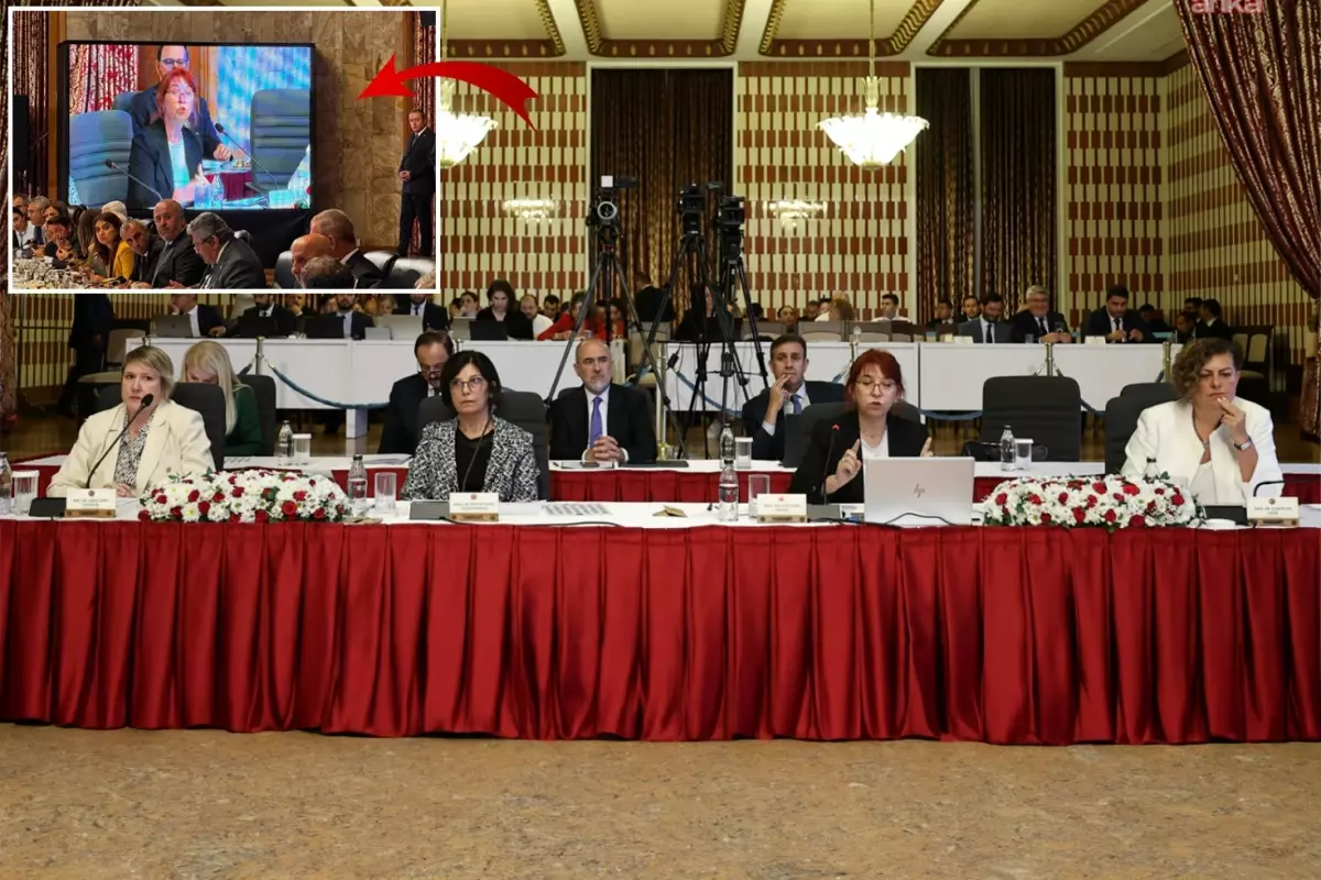 Prof. Dr. Havva Kök Aslan'ın 'Atatürk' ve 'Öcalan' sözleri komisyonu karıştırdı