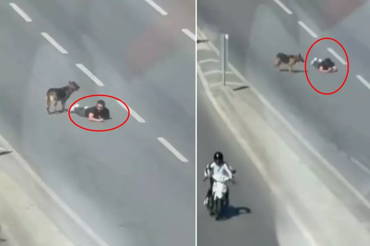 Ana yolun sağ şeridinde sürünerek ilerledi