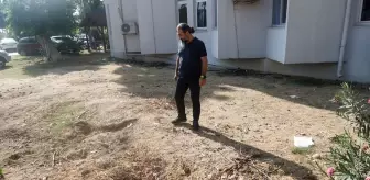 Tam 14 metre uzunluğunda! 4 yıl boyunca toprak altında kaldı, şimdi yeniden çıkarılacak