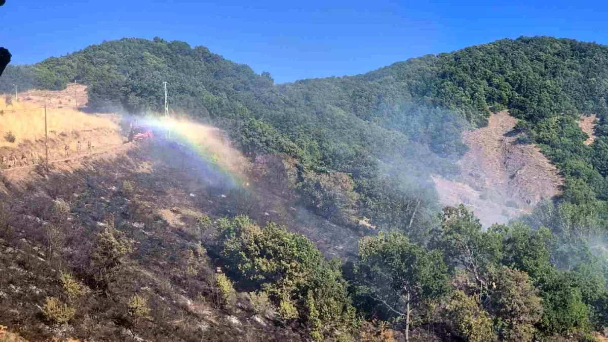 Tunceli'de Kırsal Alanda Yangın Çıktı, Müdahale Sürüyor