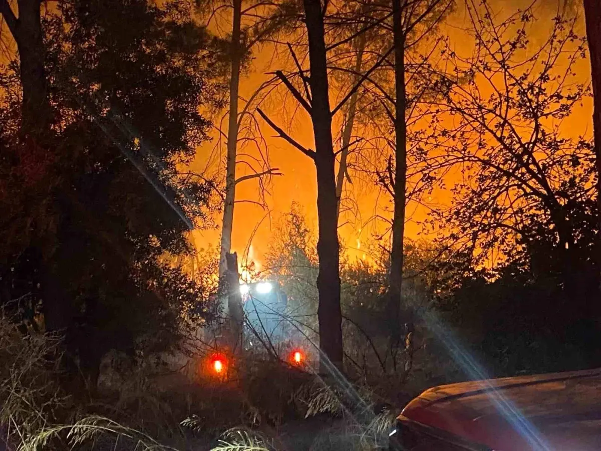 Antalya'da Orman Yangını: Ekipler Müdahale Ediyor