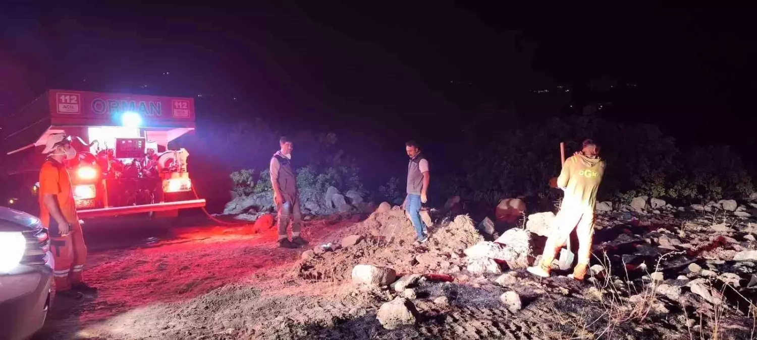 Bingöl’deki Orman Yangını Kontrol Altına Alındı