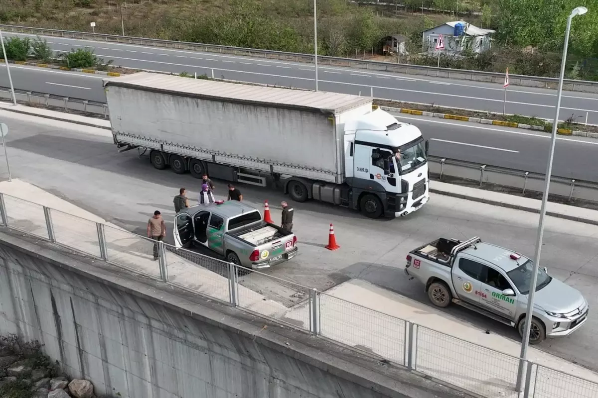 Orman Emvali Denetimi: Düzce ve Bolu'da 32 Kontrol Noktası Kuruldu
