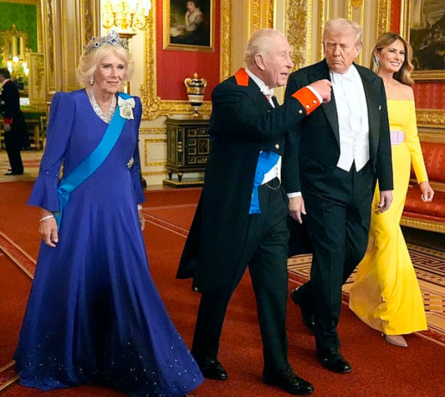 melania trump in kraliyet yemeginde giydigi 19060744 7472 m