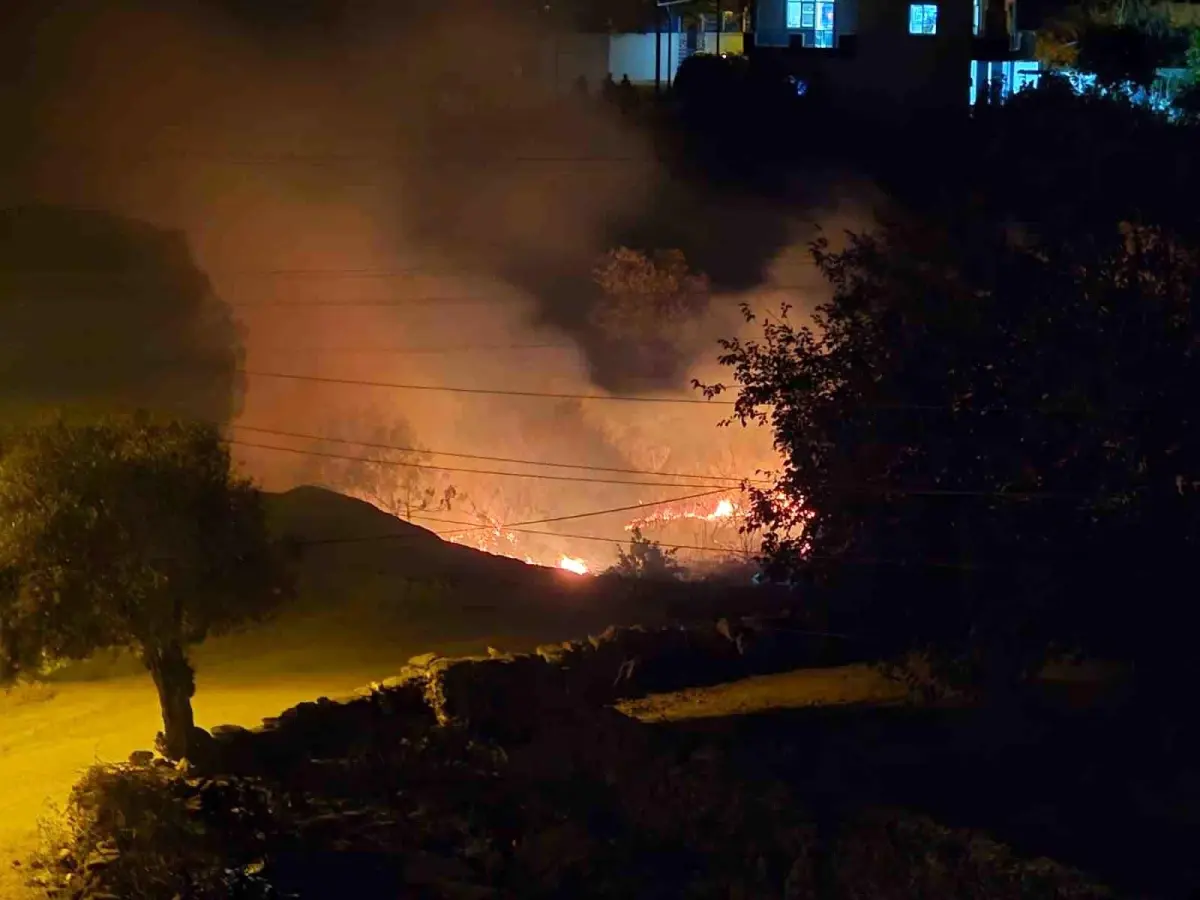 Muğla'da Sazlık Yangını Kontrol Altına Alındı