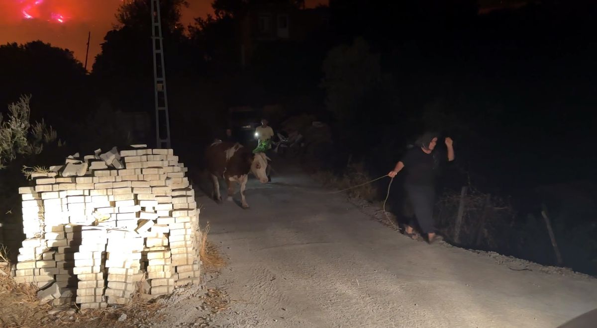 Alanya'da Orman Yangını: Yerleşim Yerleri Tahliye Edildi