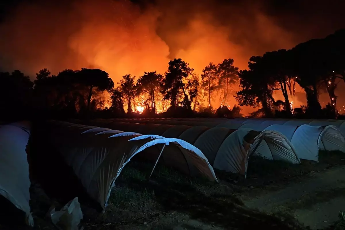 Antalya kabusu yaşıyor! Bir yangın da Aksu'da çıktı, 2 otel boşaltıldı