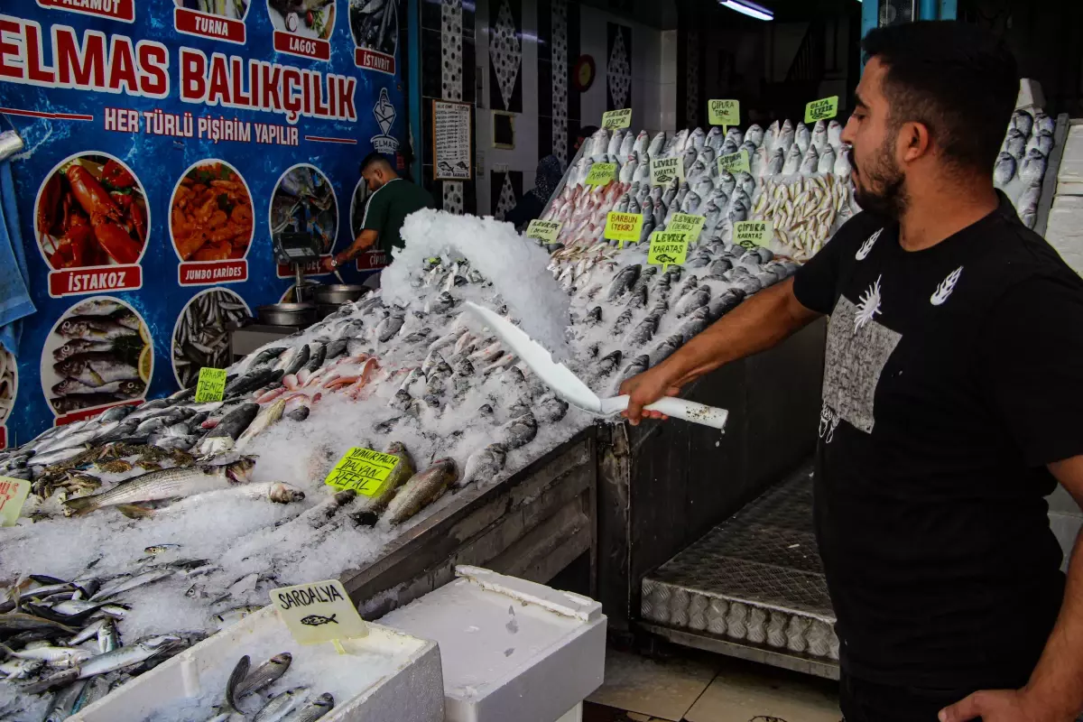 Adana'da Balık Mevsimi Başladı, Fiyatlar Yarı Yarıya Düştü