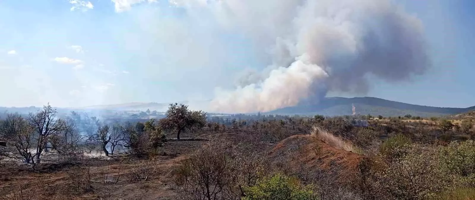 Çanakkale Gelibolu'da Tarım Arazisinde Yangın Çıktı