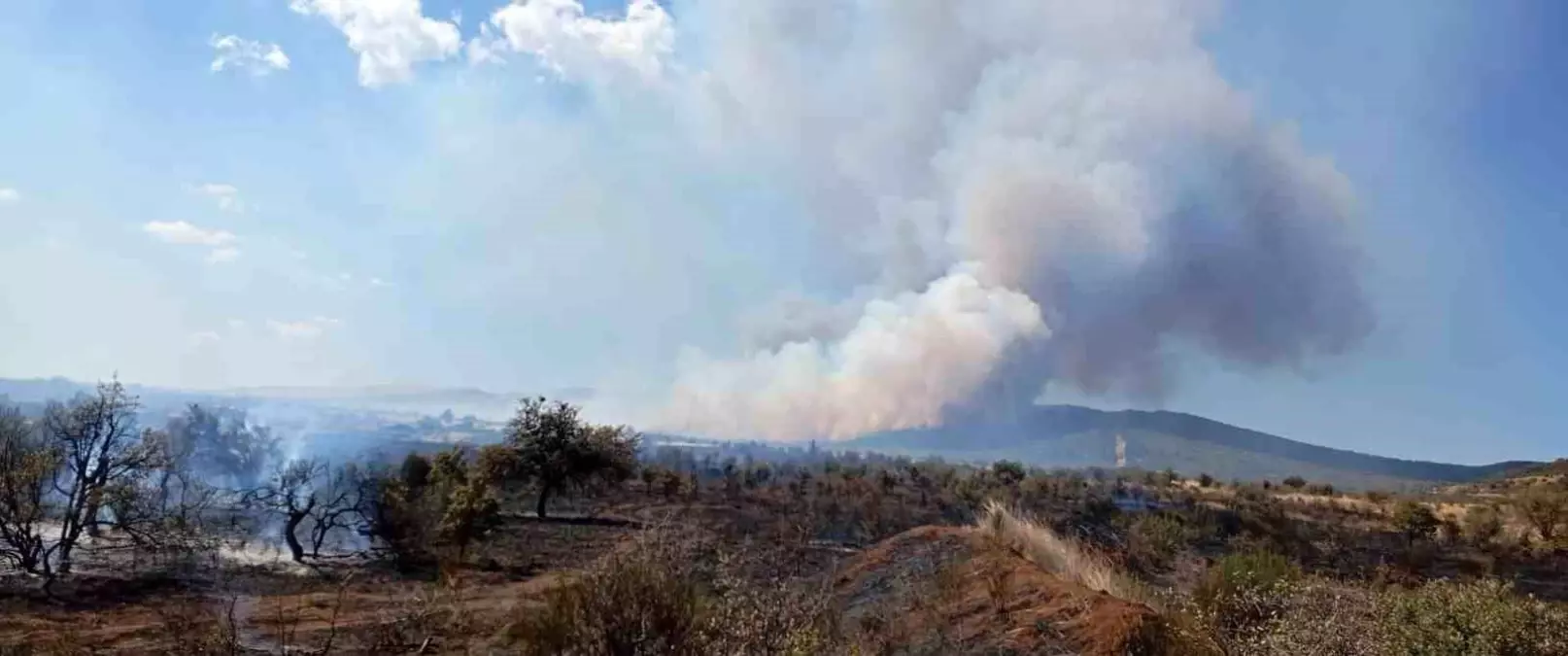 Çanakkale'de Tarım Arazisinde Yangın Çıktı