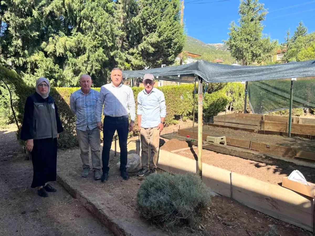 Afyonkarahisar'da İlk Salep Ekimleri Başladı