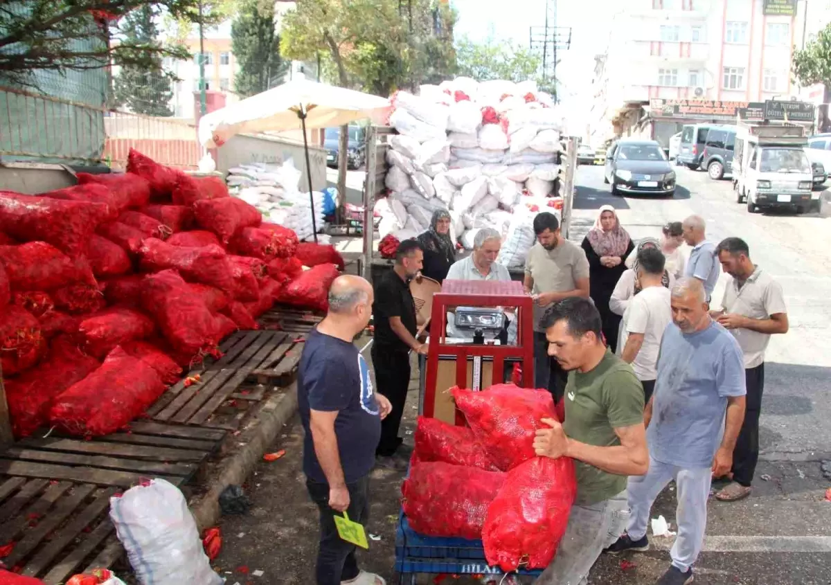 Gaziantep'te Biber Salçası Sezonu Yoğun Geçiyor