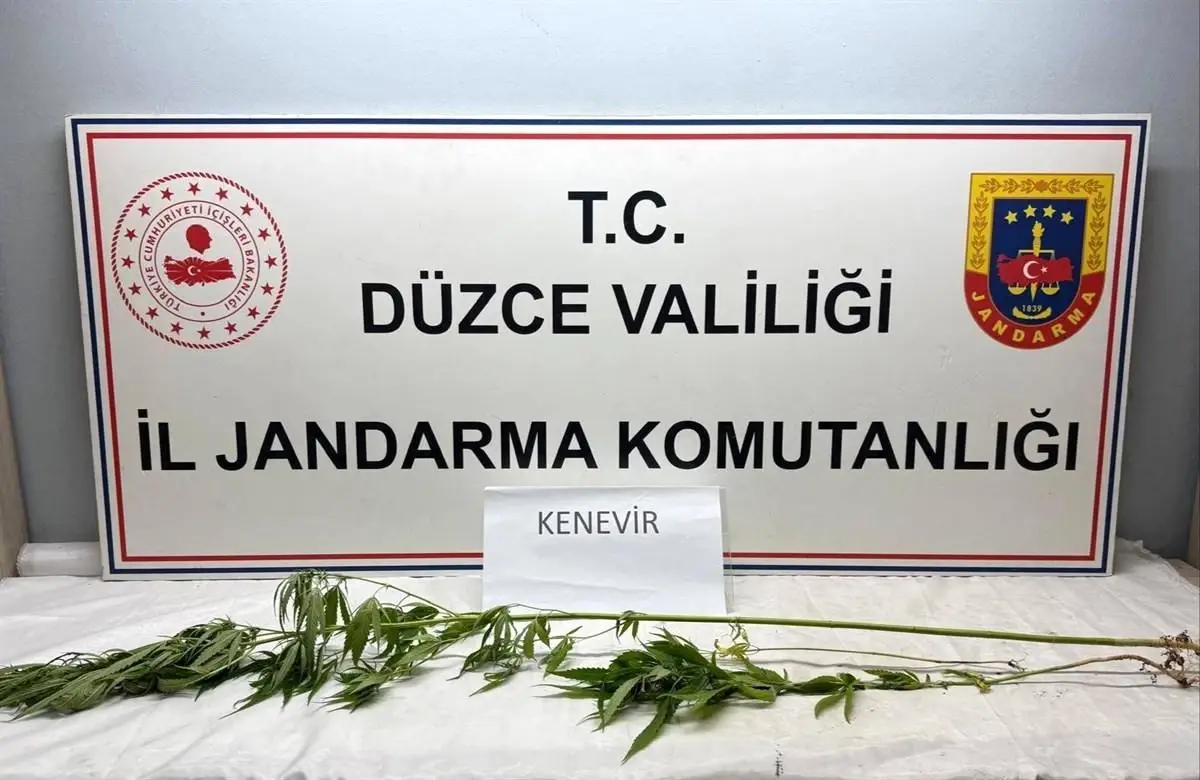 Düzce'de Uyuşturucu Operasyonu: Kubar Esrar ve Kenevir Ele Geçirildi