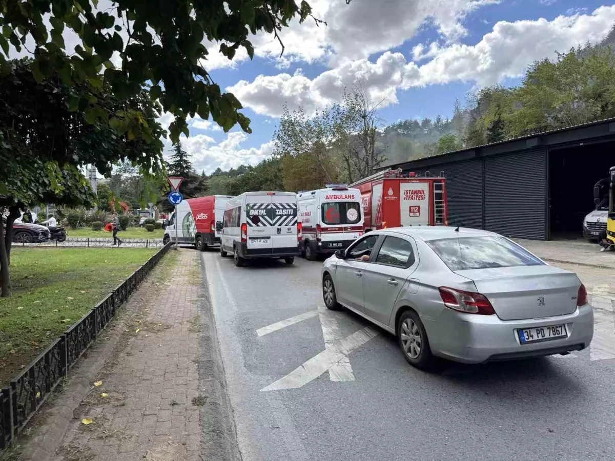 Kağıthane'de Ağaçlık Alanda Yangın: İtfaiye Ekipleri Müdahale Etti