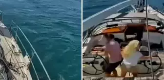 Katil balinalar lüks turist yatını batırdı! Mürettebat canını zor kurtardı