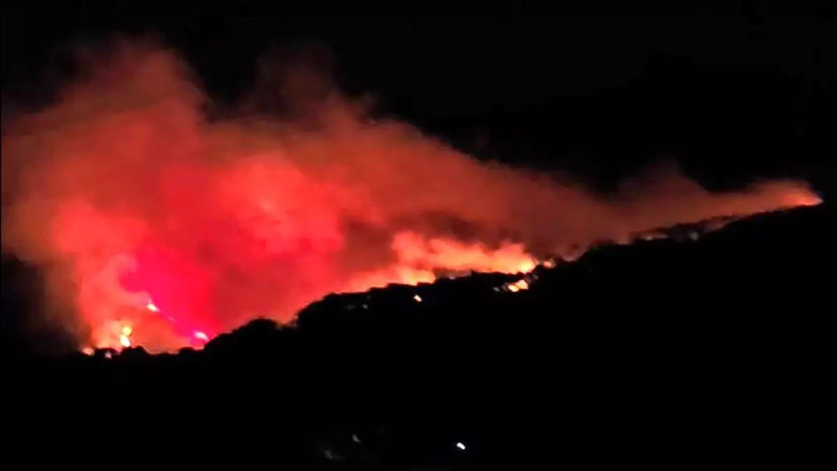 Köyceğiz'de Orman Yangınına Müdahale Ediliyor