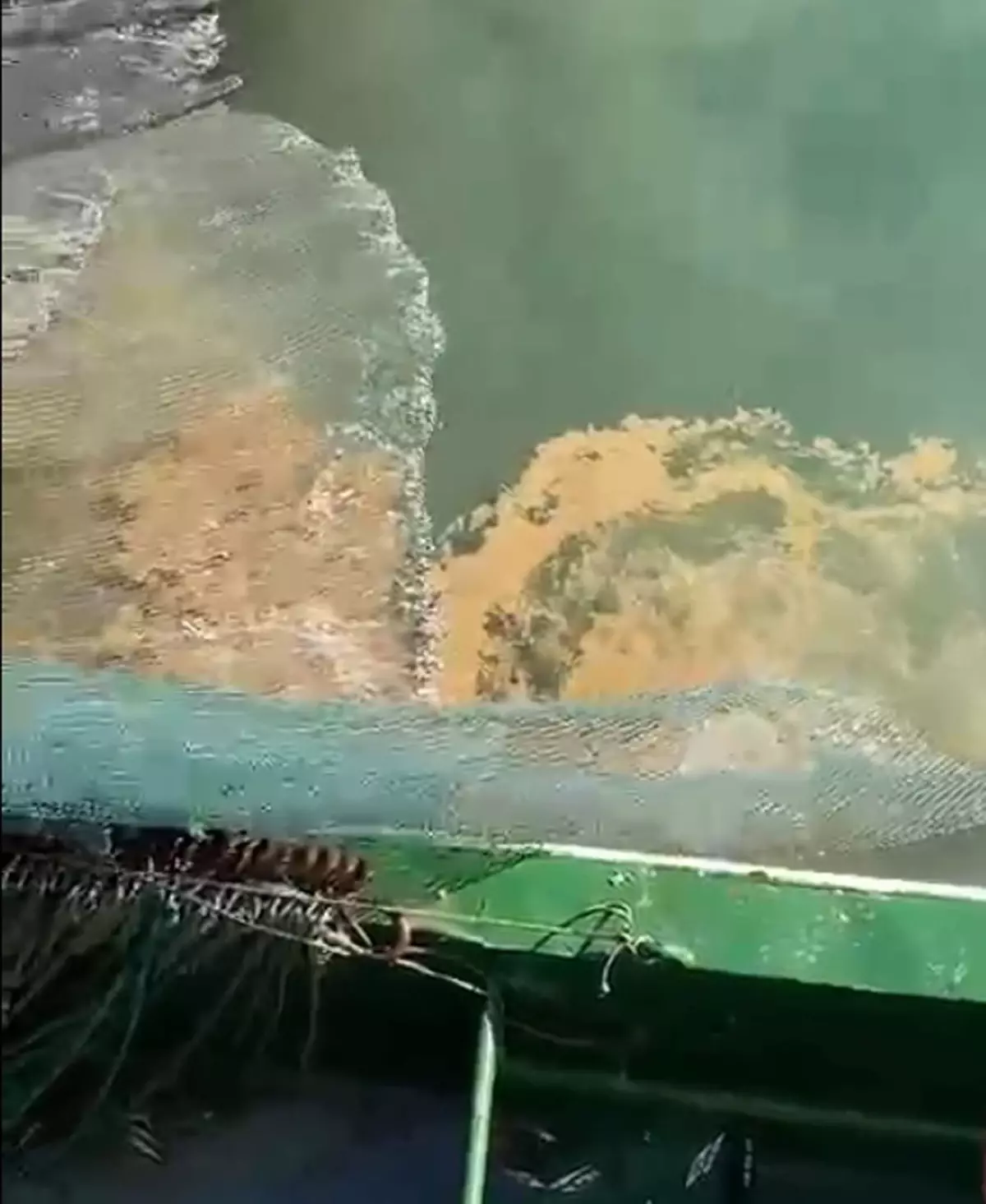 Marmara Denizi'nde Müsilaj Tehdidi Balıkçıları Endişelendiriyor